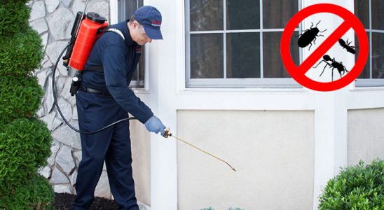Akyazı Kene İlaçlama böcek ilaçlama ve haşere kontrolü — ilaclama-tr.com